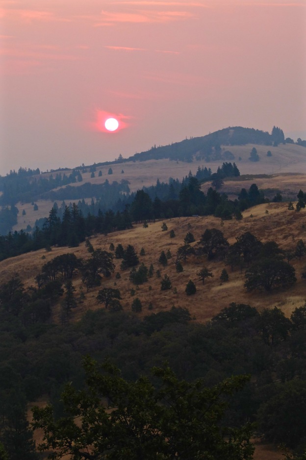 Sunrise through wildfire smoke over Mosier bluff, OR